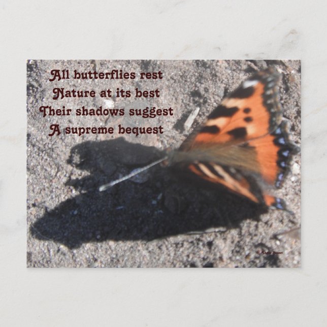 Postcard All Butterflies Rest Poem By Ladee Basset (Front)