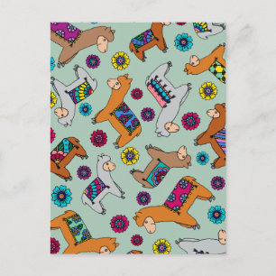 Postcard Alpaca