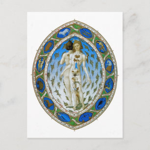 Postcard: Anatomical Man Postcard