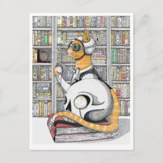 Postcard: Aviation for Cats Postcard