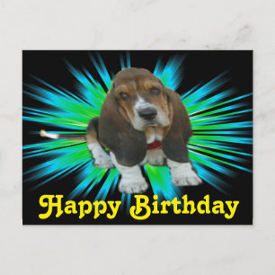 Postcard Baby Basset Sheldon Happy Birthday
