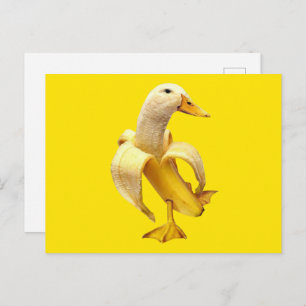 Postcard Banana Duck Meme