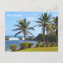 Postcard, Barbados, Beach Scene, Palm Trees