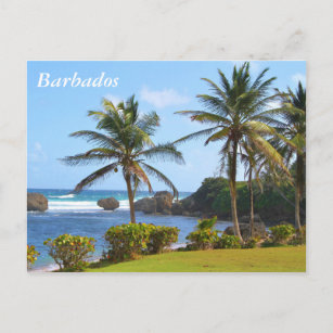 Postcard, Barbados, Beach Scene, Palm Trees Postcard