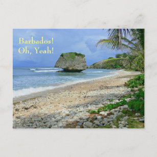 postcard, BARBADOS! OH, YEAH!/ BATHSHEBA ROCK Postcard