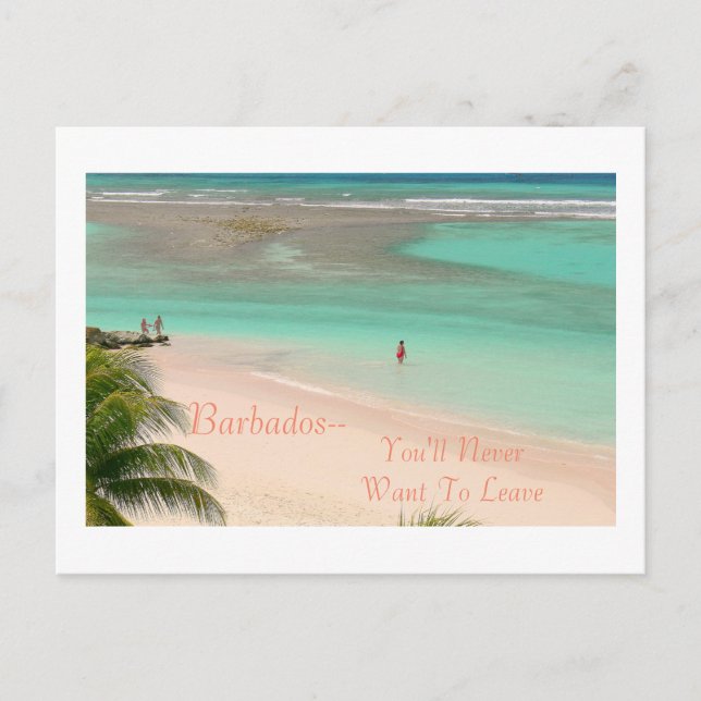 POSTCARD, BARBADOS--YOU'LL NEVER WANT TO LEAVE! POSTCARD (Front)