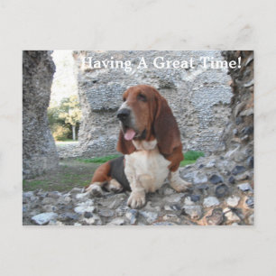 Postcard Basset Hound Castle Ruin Visit