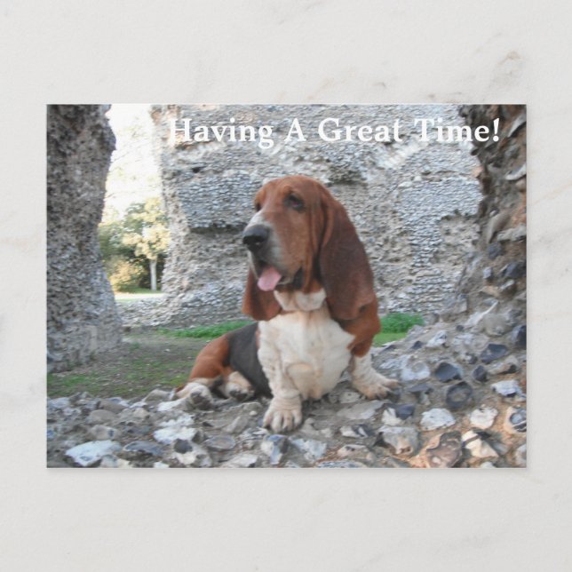 Postcard Basset Hound Castle Ruin Visit (Front)