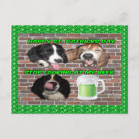 Postcard Basset Hound Stop Looking At My Beer