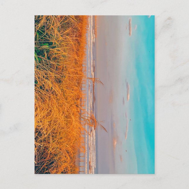 Postcard beach (Front)