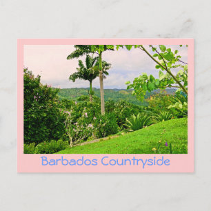 postcard, "BEAUTIFUL BARBADOS COUNTRYSIDE (PHOTOG) Postcard