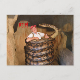 Postcard Big Snake QLD Australia