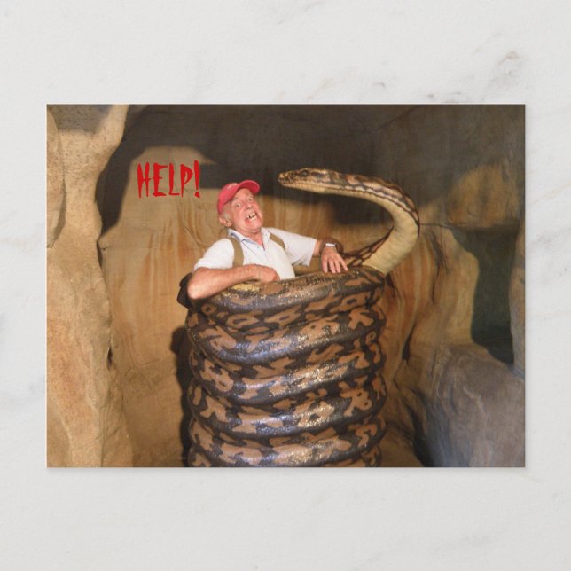 Postcard Big Snake QLD Australia (Front)