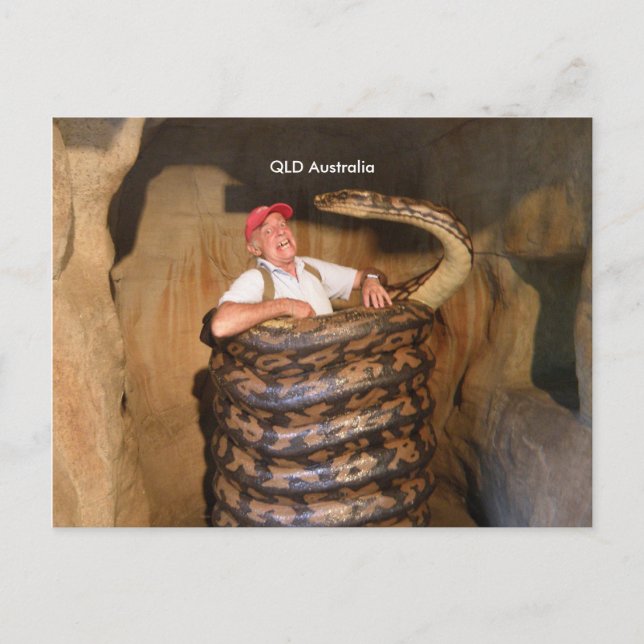 Postcard Big Snake QLD Australia Large Snake (Front)