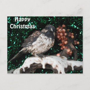 Postcard Bird Winter Scene