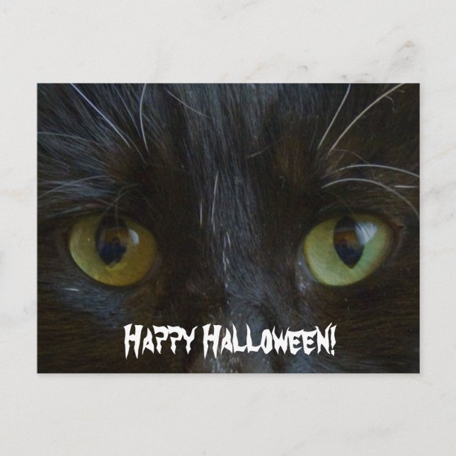 Postcard:  Black Cat Eyes Postcard (Front)
