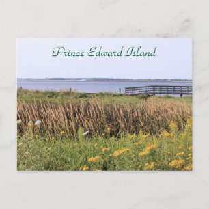 Postcard bridge, wildflowers, ocean, Prince Edward