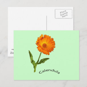 Postcard - Calendula with label