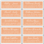 Postcard Calligraphy Wedding Guest Address Labels<br><div class="desc">Easy to personalise, names and addresses / individual wedding address label stickers for guests in a 2 x 0.8 inch size suitable for postcards! These chic, modern and simple wedding address labels feature your wedding guest names in white elegant handwritten script calligraphy and stylish typography on a copper orange background....</div>