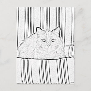 Postcard - Cat on Striped Chair to Colour