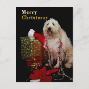 PostCard - Christmas Greeting - Doggy