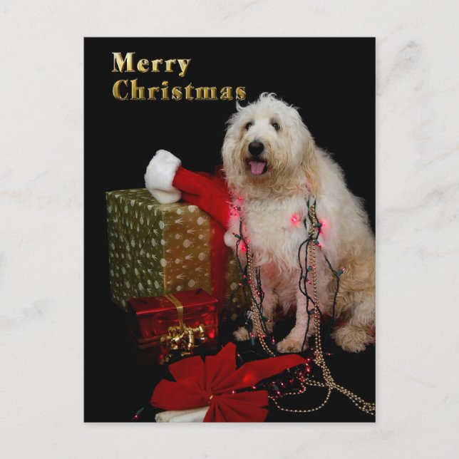 PostCard - Christmas Greeting - Doggy (Front)