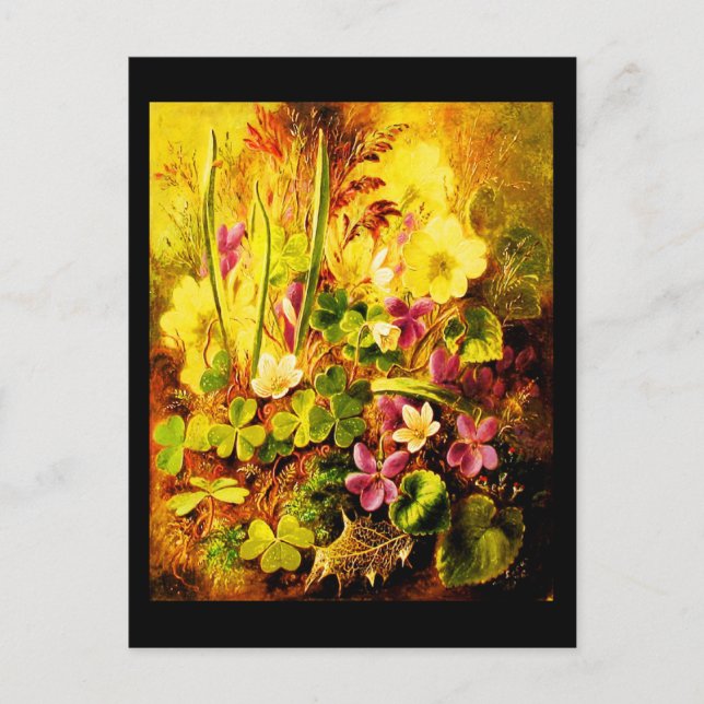 Postcard-Classic/Vintage-Albert Durer Lucas 12 Postcard (Front)