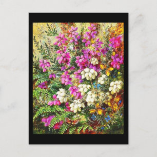 Postcard-Classic/Vintage-Albert Durer Lucas 5 Postcard