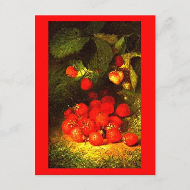 Postcard-Classic/Vintage-Eloise Stannard 3 Postcard (Front)