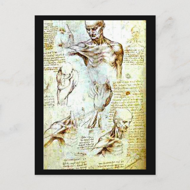 Postcard-Classic/Vintage-Leonardo da Vinci 13 Postcard (Front)