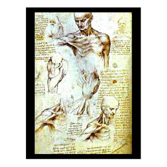 Postcard-Classic/Vintage-Leonardo da Vinci 13 Postcard