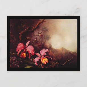 Postcard-Classic/Vintage-Martin Johnson Heade 23 Postcard