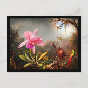 Postcard-Classic/Vintage-Martin Johnson Heade 29 Postcard