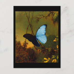Postcard-Classic/Vintage-Martin Johnson Heade 3 Postcard