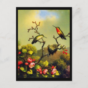 Postcard-Classic/Vintage-Martin Johnson Heade 5 Postcard