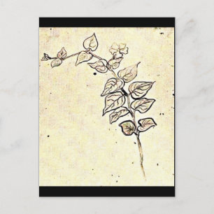 Postcard-Classic/Vintage-Vincent Van Gogh 208 Postcard