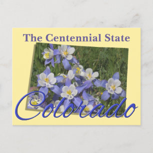 Postcard - COLORADO