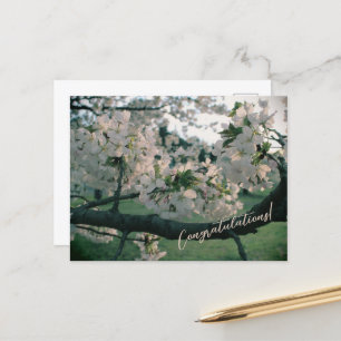 PostCard Congratulations!