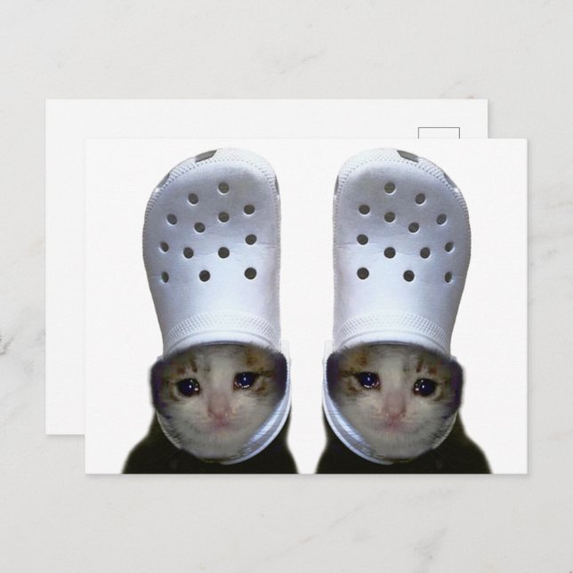 Postcard Crying Cat Croc Hat Meme (Front/Back)