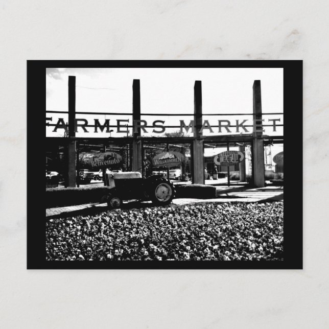 Postcard-Dallas Photography-12 Postcard (Front)