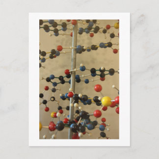 Postcard DNA model