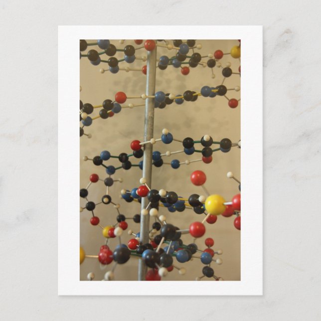 Postcard DNA model (Front)
