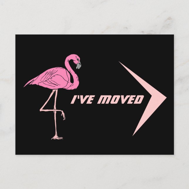 Postcard Flamingo I've Moved New Address PC Retro (Front)