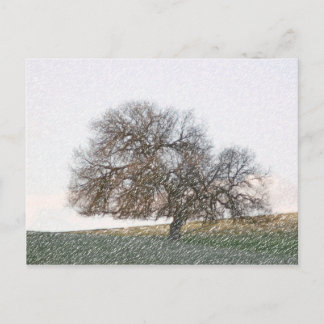 POSTCARD - Forgotten Oak