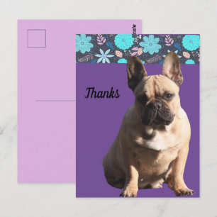 Postcard französische Bulldoggen Dankeschön