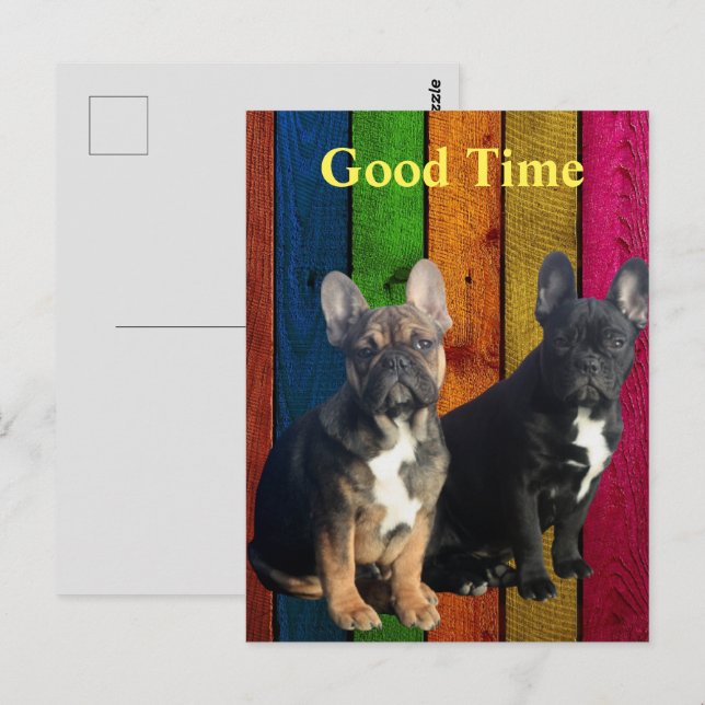Postcard French Bulldog (Front/Back)