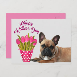 postcard French Bulldog Mother's Day