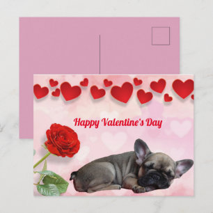 Postcard French Bulldogge Valentine's Day