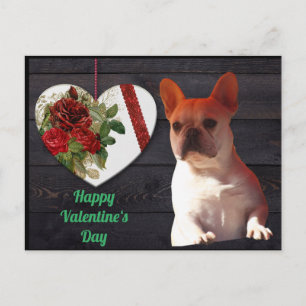Postcard French Bulldogge Valentine's Day