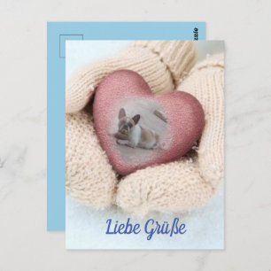 postcard French Bulldoggen